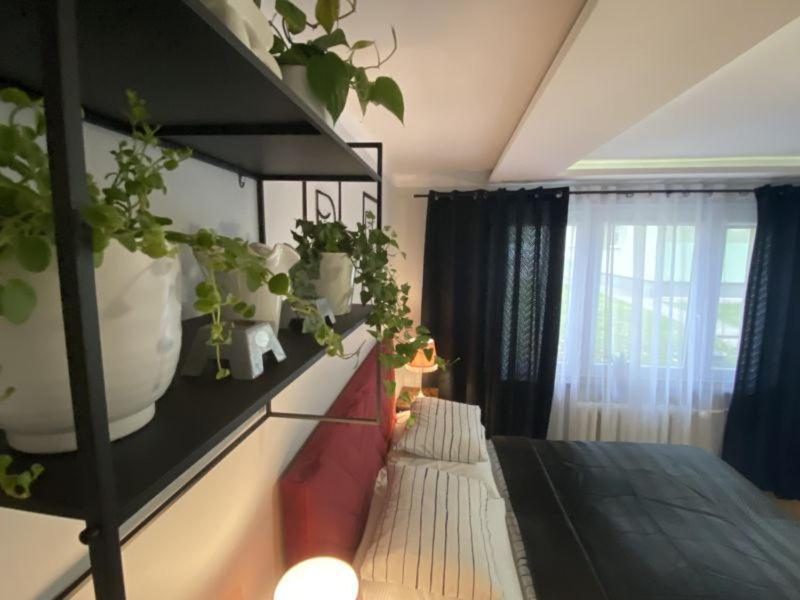 Apartament ,, Sen I Kawa" - Komfortowy Nocleg W Sercu Aglomeracji Bytom Esterno foto